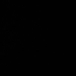 Meet your Posher, Rheannon